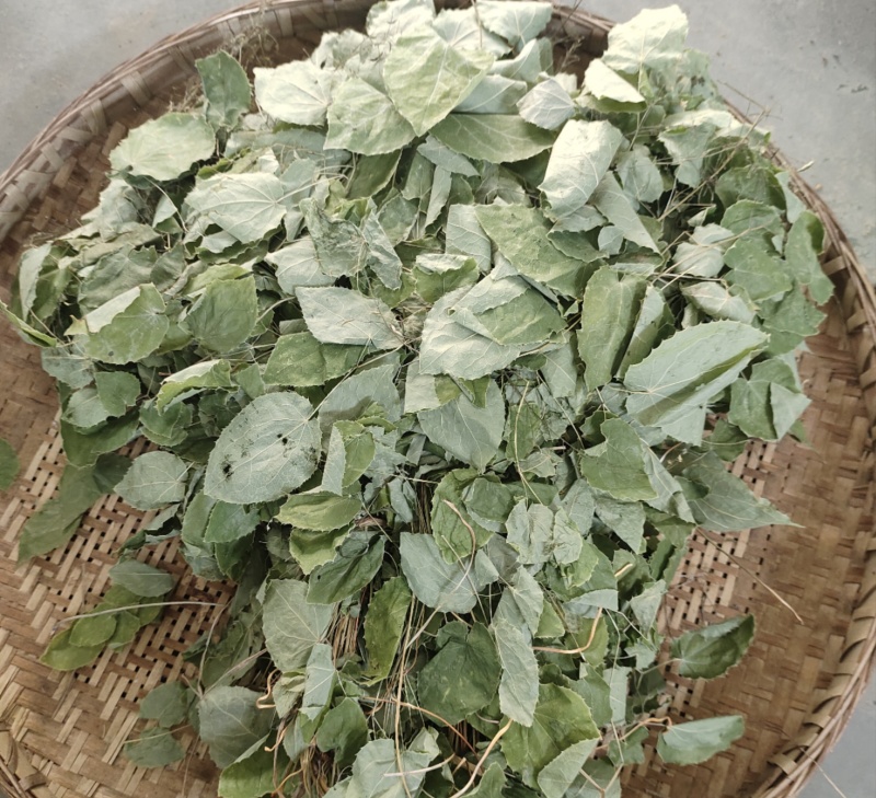 淫羊藿柔毛淫羊藿淫羊藿干货一手货源产地直发