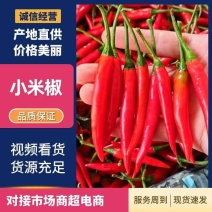 艳红小米辣产地直发质量保证诚信经营可视频看货