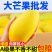 海南金煌芒10斤装当季新鲜水果芒果水仙芒大青芒10/5/3斤