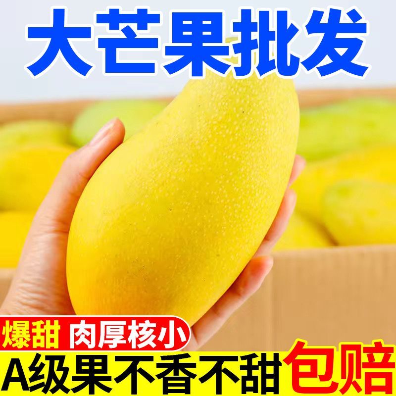 海南金煌芒10斤装当季新鲜水果芒果水仙芒大青芒10/5/3斤