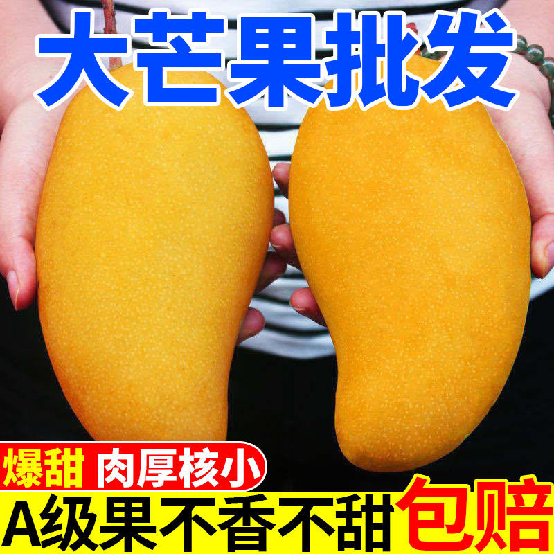 海南金煌芒10斤装当季新鲜水果芒果水仙芒大青芒10/5/3斤