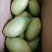 海南金煌芒10斤装当季新鲜水果芒果水仙芒大青芒10/5/3斤