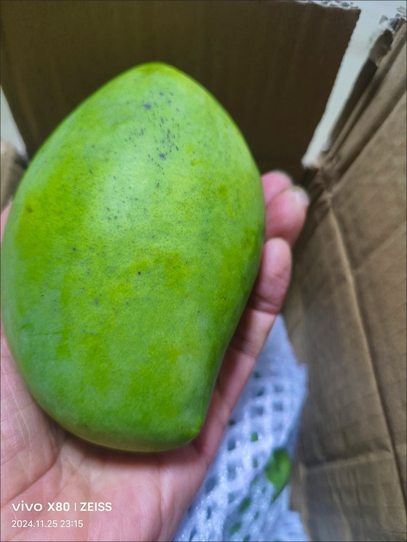 海南金煌芒10斤装当季新鲜水果芒果水仙芒大青芒10/5/3斤