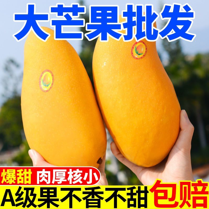 海南金煌芒10斤装当季新鲜水果芒果水仙芒大青芒10/5/3斤