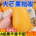 海南金煌芒10斤装当季新鲜水果芒果水仙芒大青芒10/5/3斤