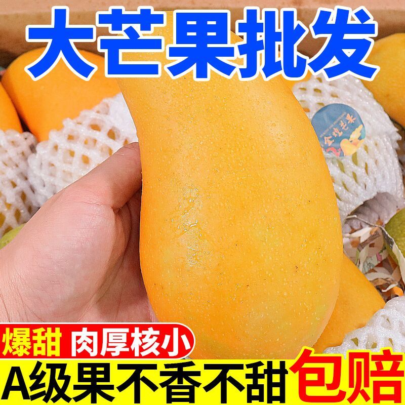 海南金煌芒10斤装当季新鲜水果芒果水仙芒大青芒10/5/3斤