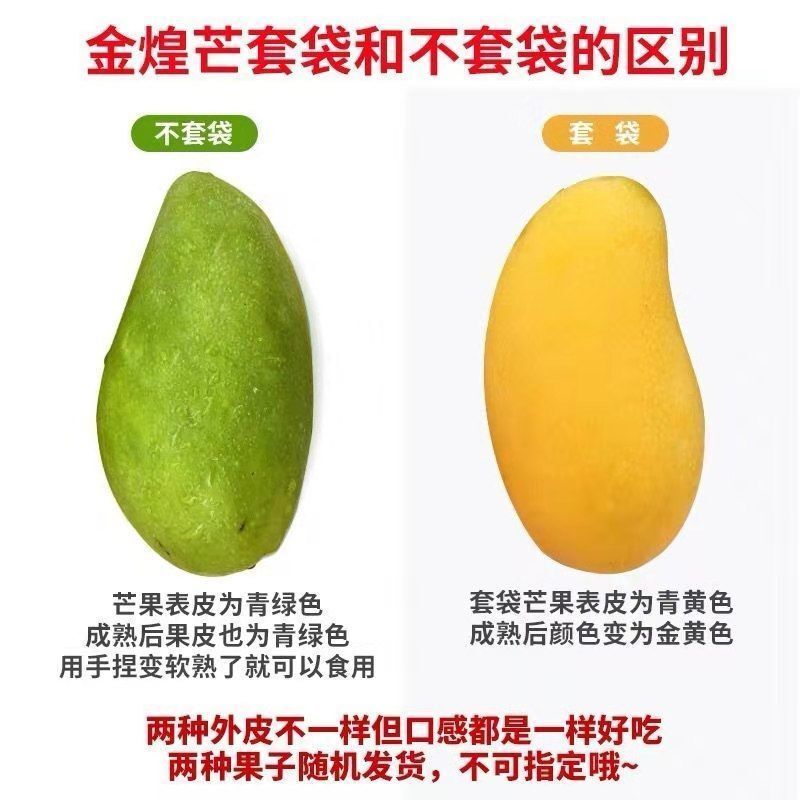 海南金煌芒10斤装当季新鲜水果芒果水仙芒大青芒10/5/3斤