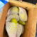 海南金煌芒10斤装当季新鲜水果芒果水仙芒大青芒10/5/3斤