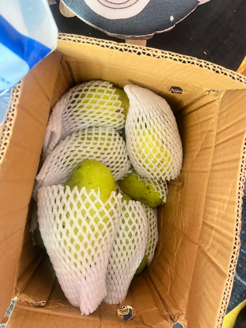 海南金煌芒10斤装当季新鲜水果芒果水仙芒大青芒10/5/3斤