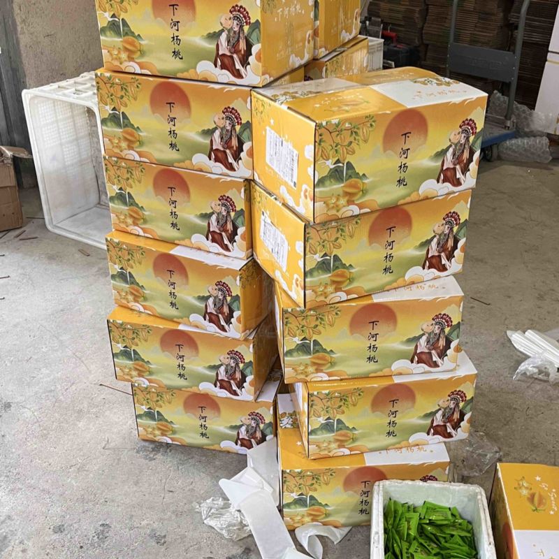 下河杨桃产地直发支持批发零售一件代发