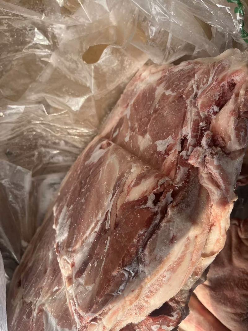 鑫喜鹤前上肉