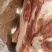 鑫喜鹤前上肉