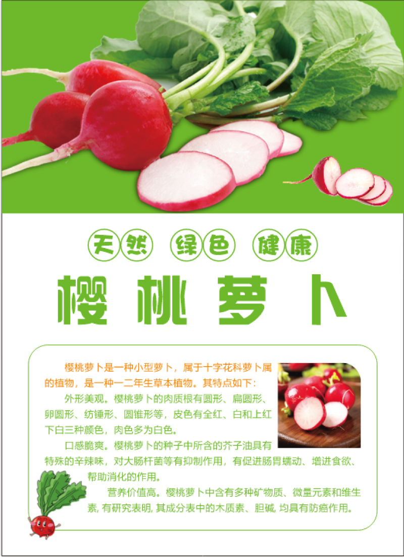 樱桃萝卜冻干休闲食品