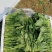 菏泽单县菠菜大叶菠菜大量供一手货源专业代办代发诚信经营