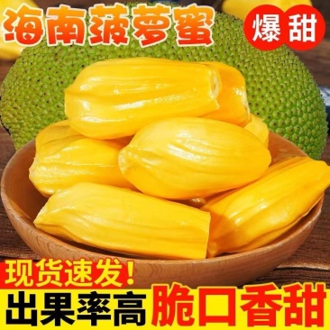 海南三亚菠萝蜜新鲜水果现摘木波罗蜜一整个黄肉整箱批发特价包邮