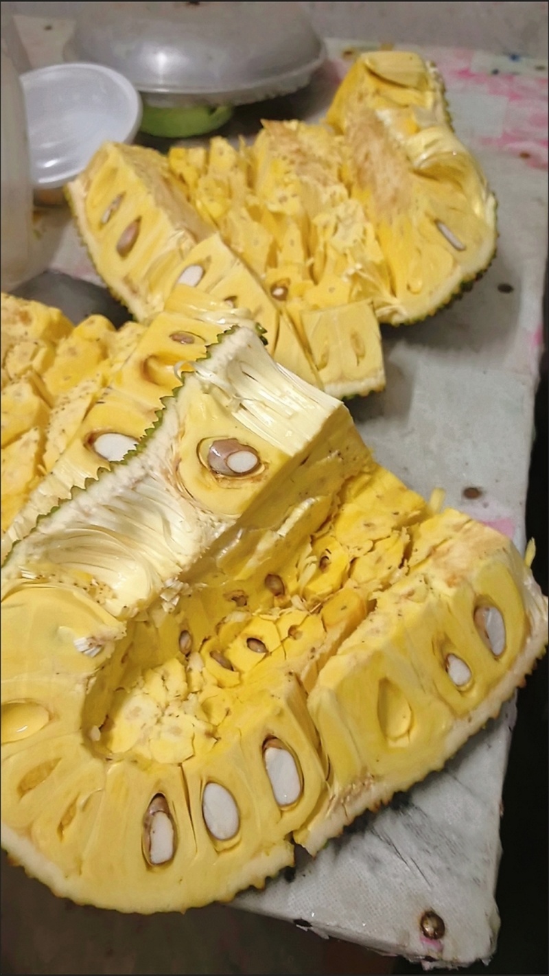 海南三亚菠萝蜜新鲜水果现摘木波罗蜜一整个黄肉整箱批发特价包邮