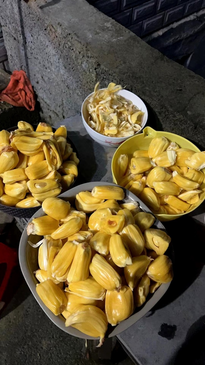 海南三亚菠萝蜜新鲜水果现摘木波罗蜜一整个黄肉整箱批发特价包邮