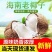包邮海南新鲜椰子老椰子特产水果毛椰子【700克左右一个】