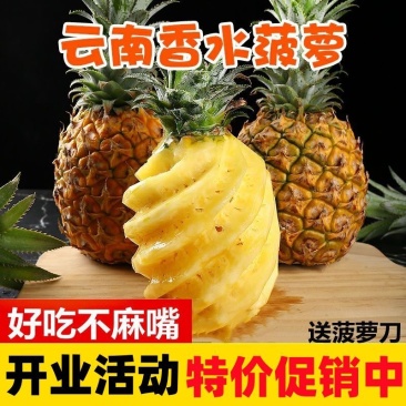 【惊爆价】新鲜云南菠萝香水大菠萝手撕菠萝水果凤梨菠萝批发