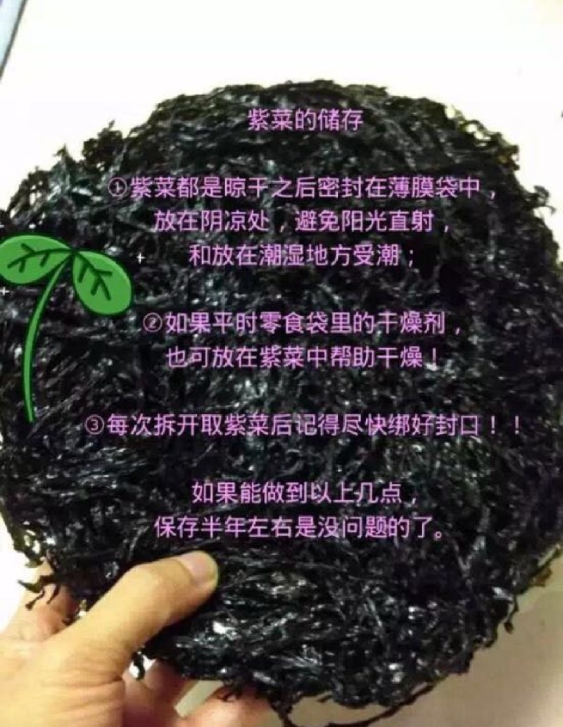 福建干紫菜产地直发需要的老板可以视频看货