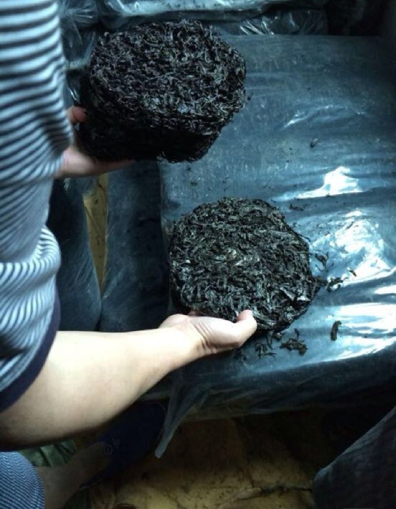 福建干紫菜产地直发需要的老板可以视频看货