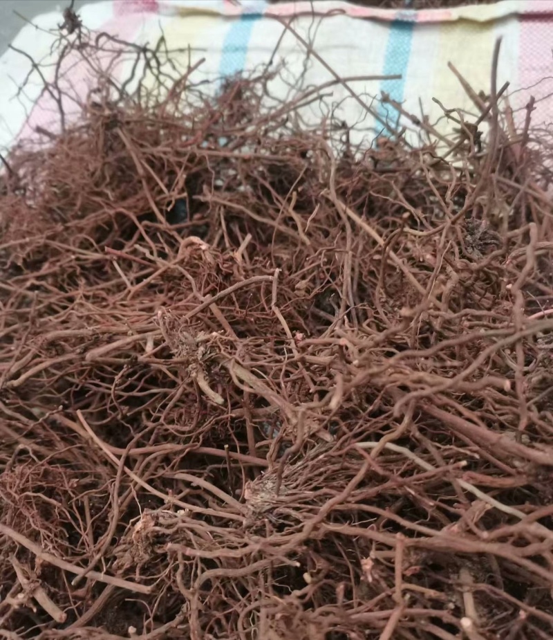 北方野生茜草，可根据您需求做规格，量大价格优惠，欢迎咨询