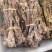 海狗鞭新货关书药业批发各种中药材规格齐全质量保证