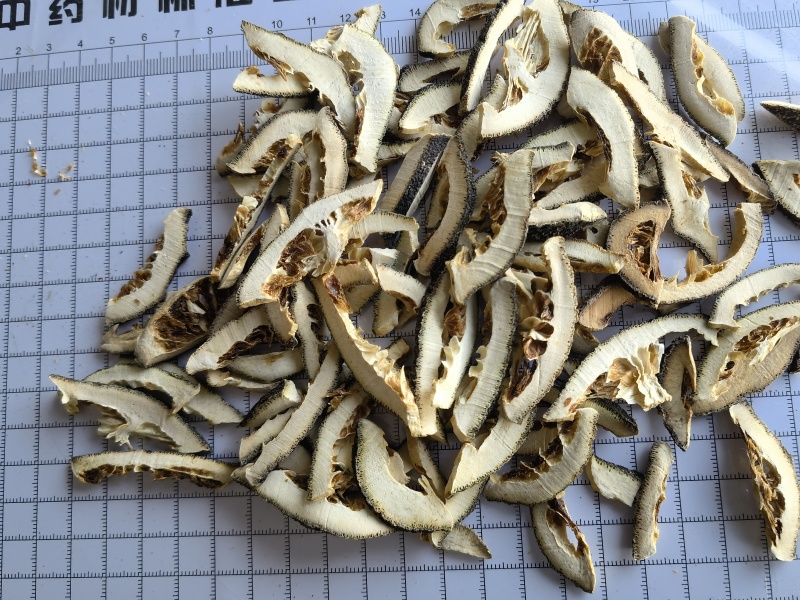 枳壳江西生枳选无硫1000克起批关书药业