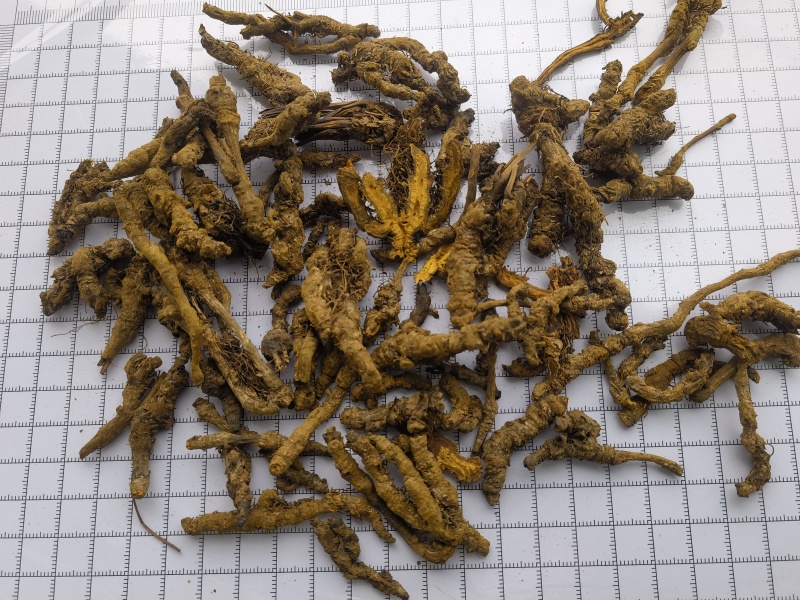 黄连选单只连新货黄茬关书药材批发各种规格中药