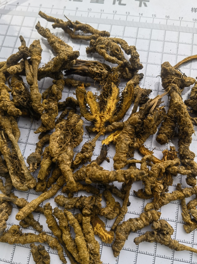 黄连选单只连新货黄茬关书药材批发各种规格中药