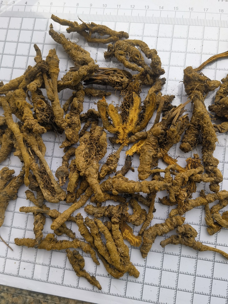 黄连选单只连新货黄茬关书药材批发各种规格中药