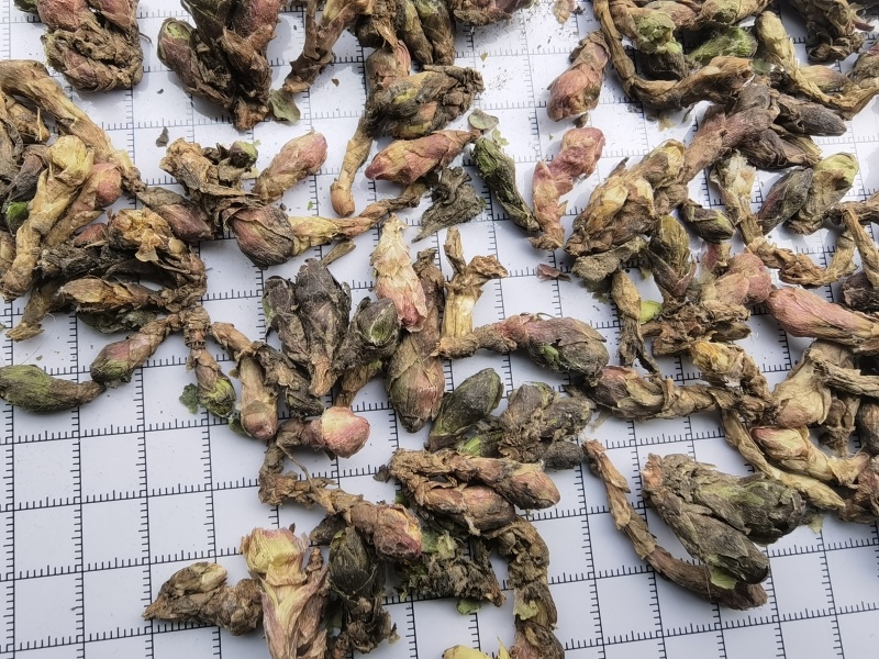 款冬花新货大统有杆关书药业批发各种规格中药材