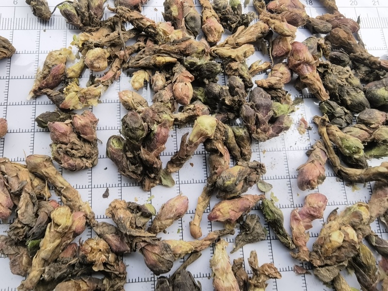 款冬花新货大统有杆关书药业批发各种规格中药材
