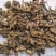 款冬花新货精选大花头颜色好1000g起批关书药业