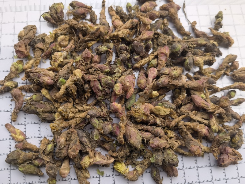 款冬花新货精选大花头颜色好1000g起批关书药业