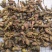款冬花新货精选大花头颜色好1000g起批关书药业