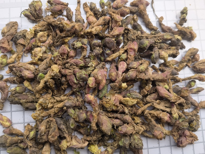 款冬花新货精选大花头颜色好1000g起批关书药业