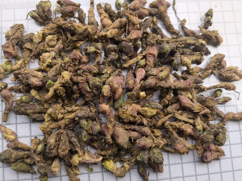 款冬花新货精选大花头颜色好1000g起批关书药业