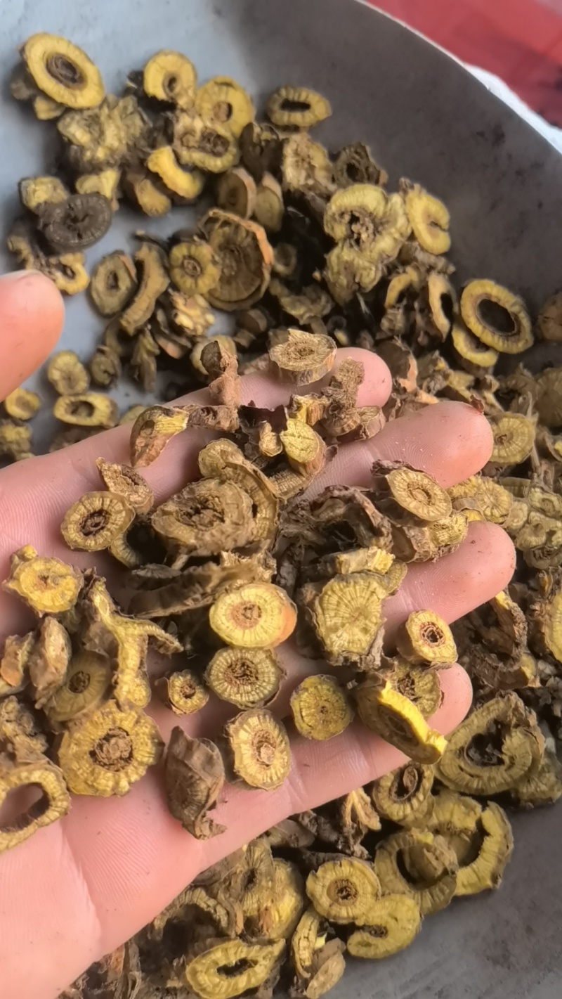 黄芹统货内蒙枯芩关书药业品质保证