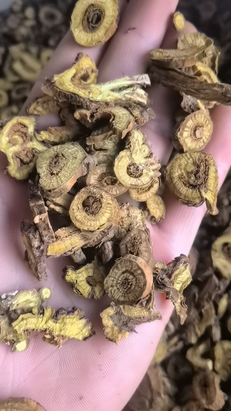 黄芹统货内蒙枯芩关书药业品质保证