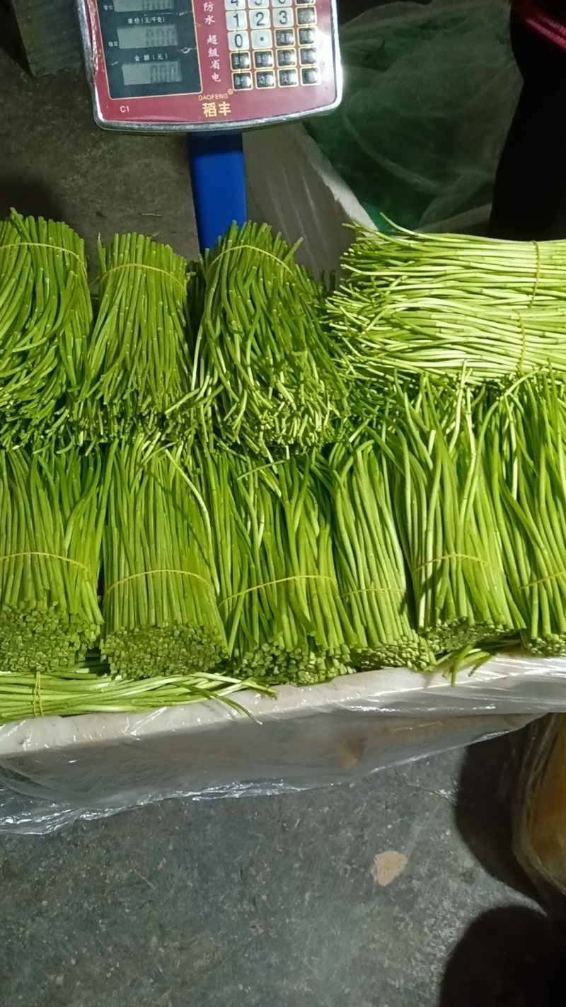 离蒿