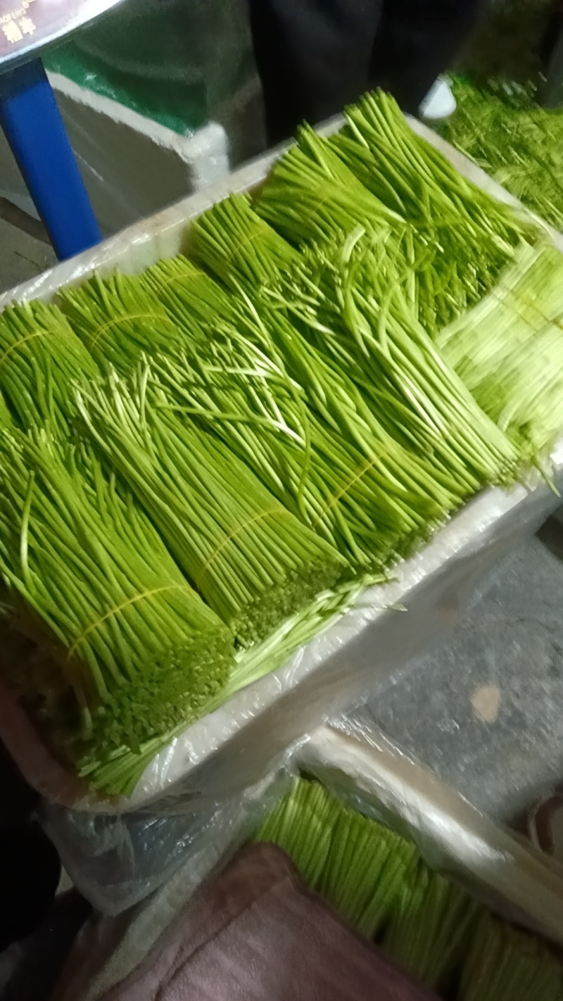 离蒿