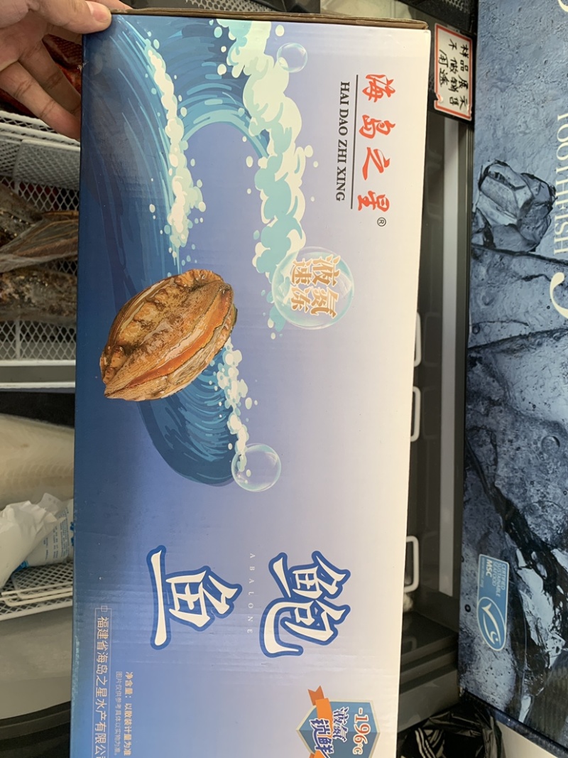 液氮活冻鲍鱼，去内脏适用于中西餐自助餐，火锅店
