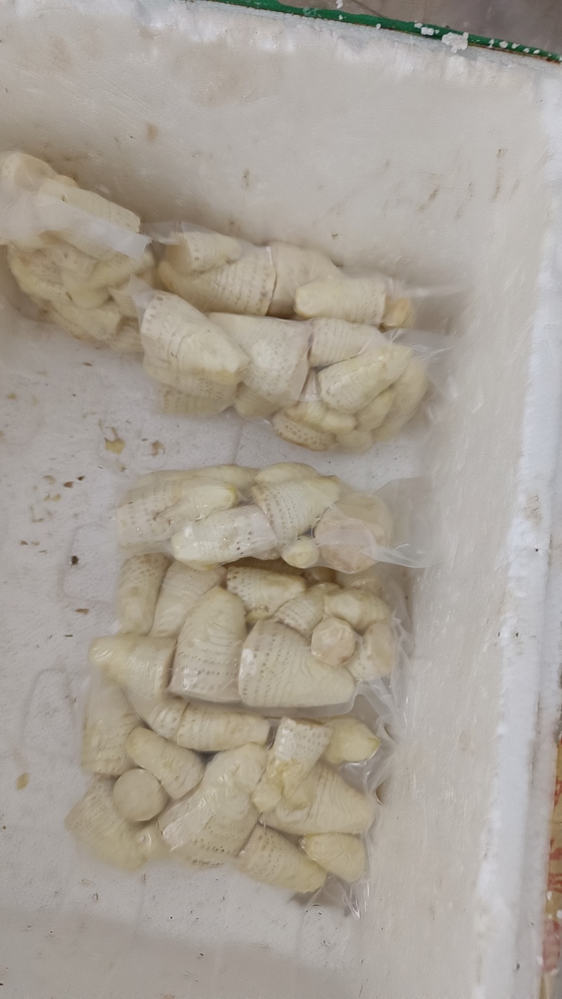 赤水黄泥冬笋新鲜笋笋肉
