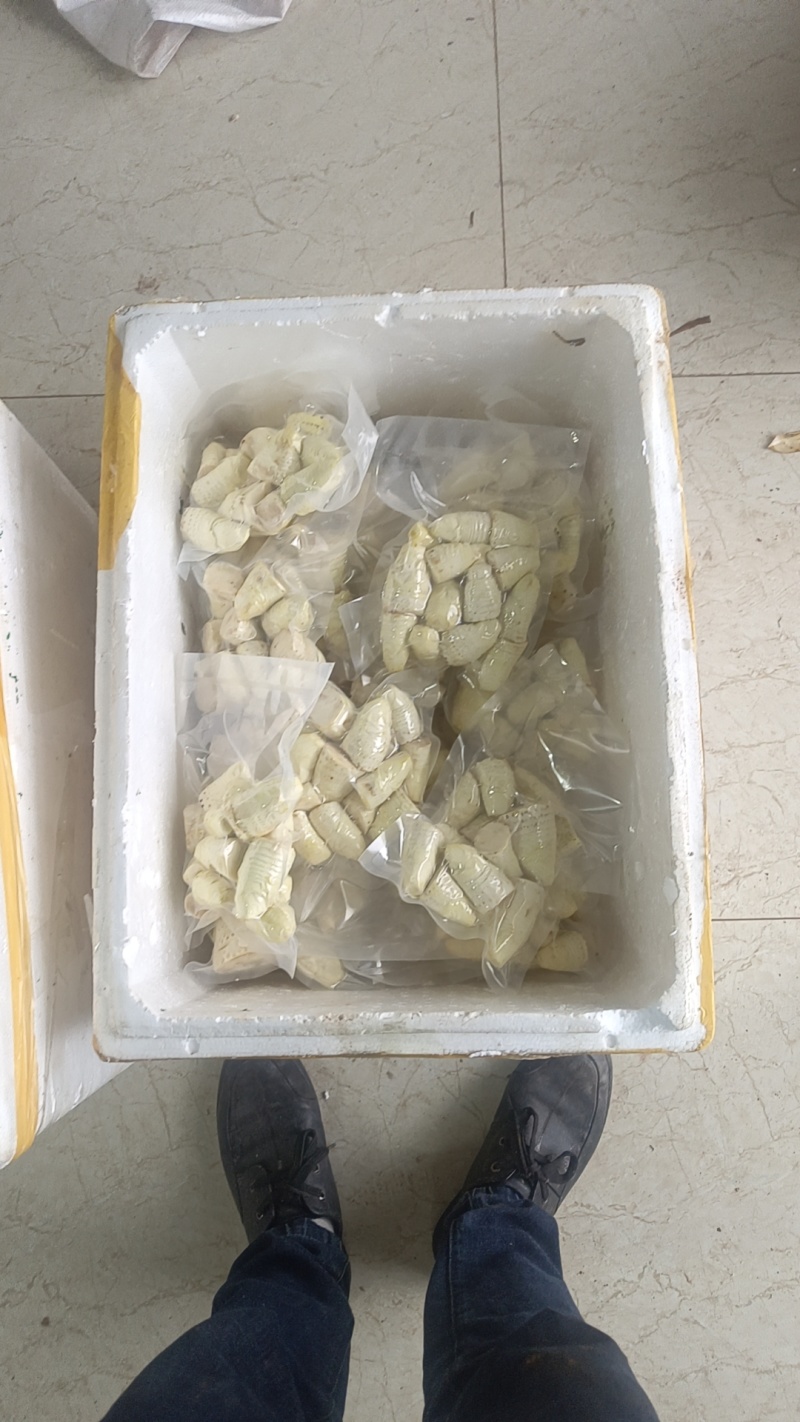 赤水黄泥冬笋新鲜笋笋肉