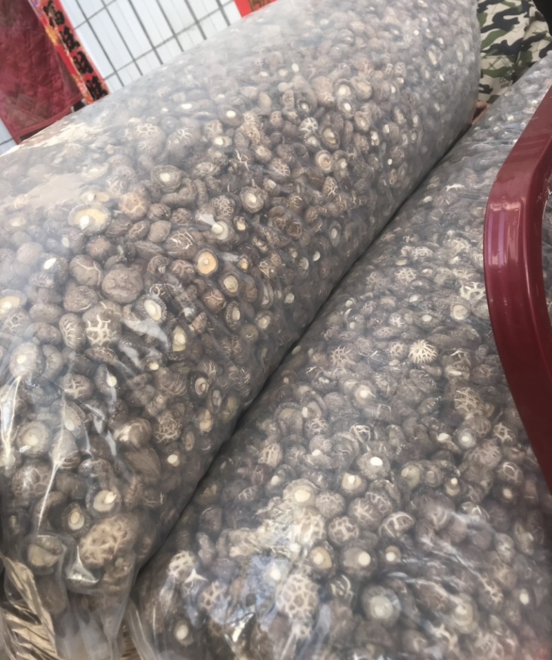 精选干花菇茶花菇红花菇大小型号齐全，
