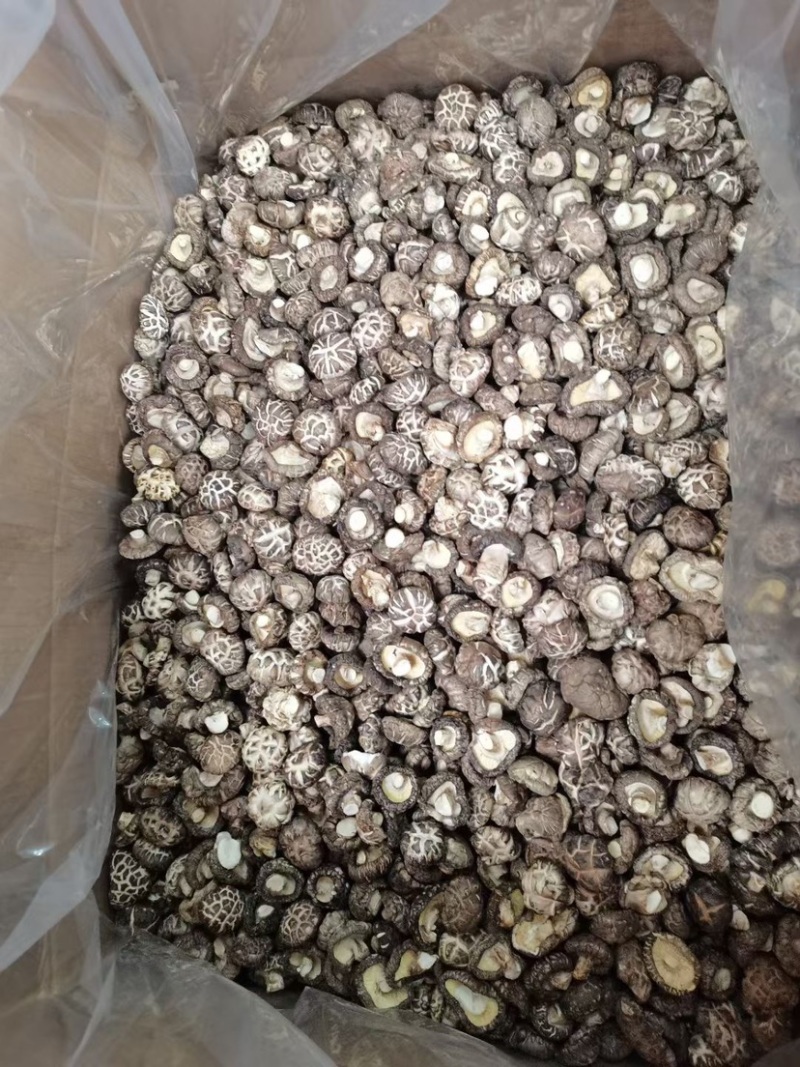 精选干花菇茶花菇红花菇大小型号齐全，