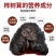 桦树茸,白桦茸,桦褐孔菌,品类齐全,诚信为本