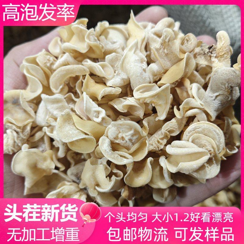原货无增重高泡发东北白玉木耳干货大小均匀肉厚无根小碗耳