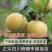 蜂糖李子树苗，基地直发，保证品种假一赔十欢迎大家实地考察